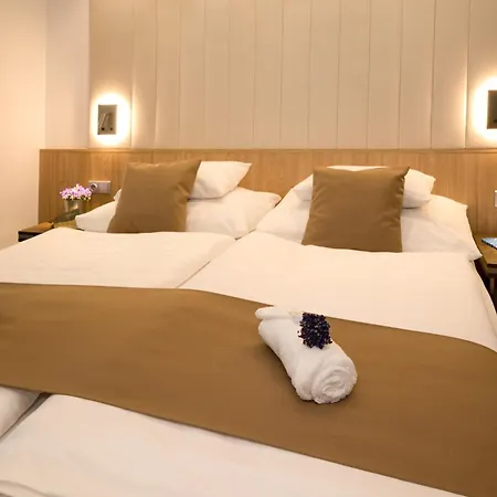 Bartos מלון Frenštát pod Radhoštěm