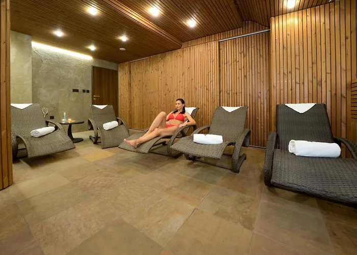 Bartoš 4* Frenštát pod Radhoštěm